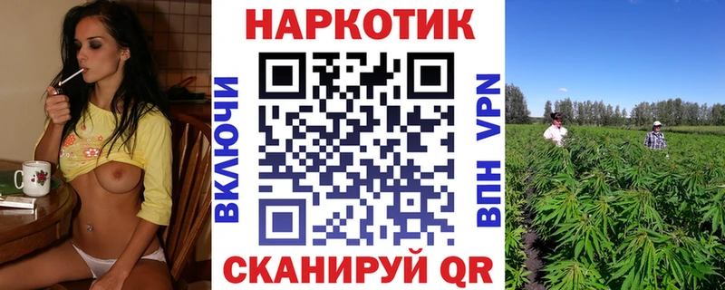 Купить наркотики Городец Галлюциногенные грибы  Мефедрон  ГАШ  Бошки Шишки  APVP 