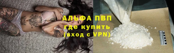прущие грибы Богданович