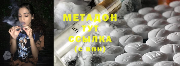прущие грибы Богданович