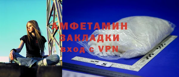 прущие грибы Богданович