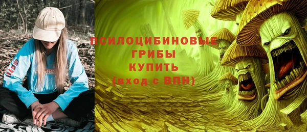 бошки Богородицк