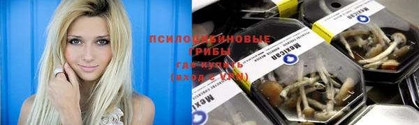 герыч Каменногорск