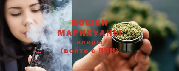 прущие грибы Богданович