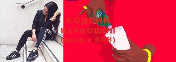 прущие грибы Богданович