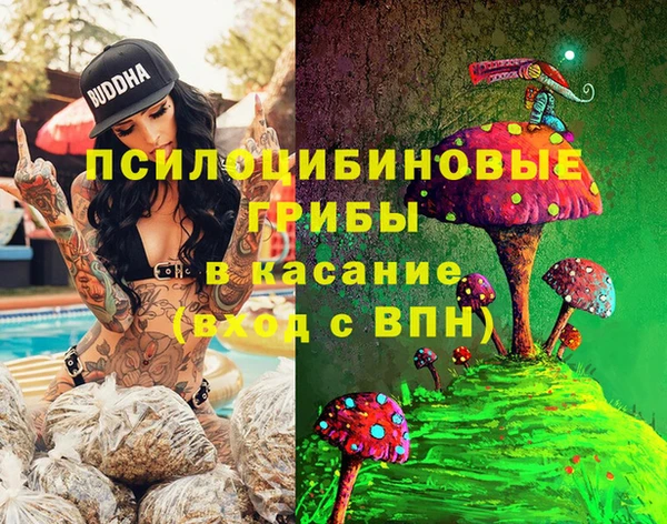 прущие грибы Богданович