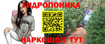 хмурый Малоярославец