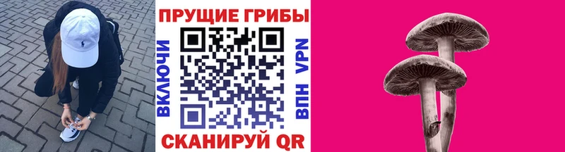 Псилоцибиновые грибы ЛСД Городец