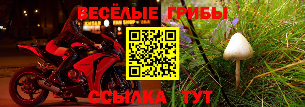 Псилоцибиновые грибы мицелий  Вход с VPN  Городец  Псилоцибиновые грибы Cubensis 