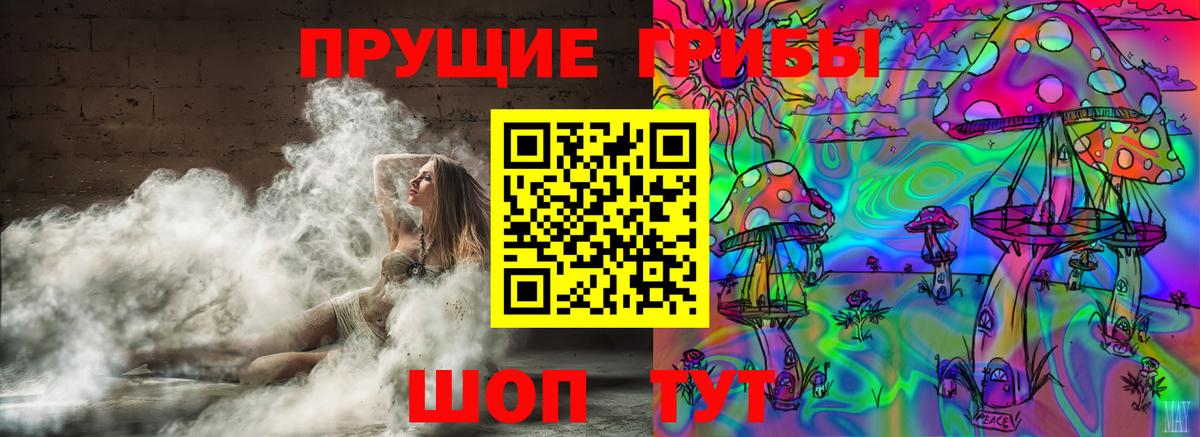 Псилоцибиновые грибы Psilocybe Городец